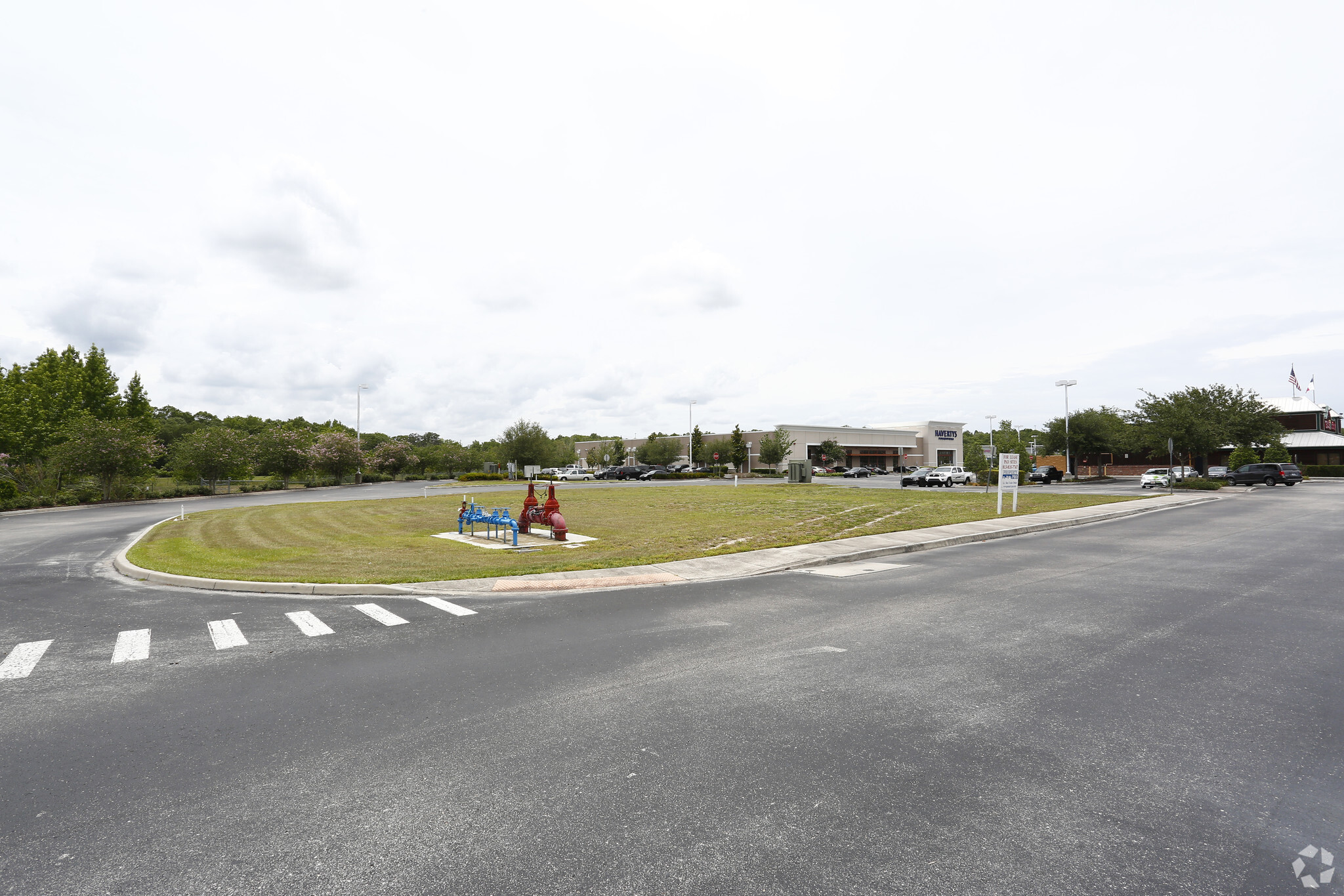 Golden Maple Loop, Wesley Chapel, FL for sale Primary Photo- Image 1 of 1