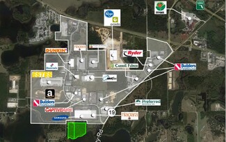 Plus de détails pour Lewis Grove Rd, Groveland, FL - Terrain à vendre