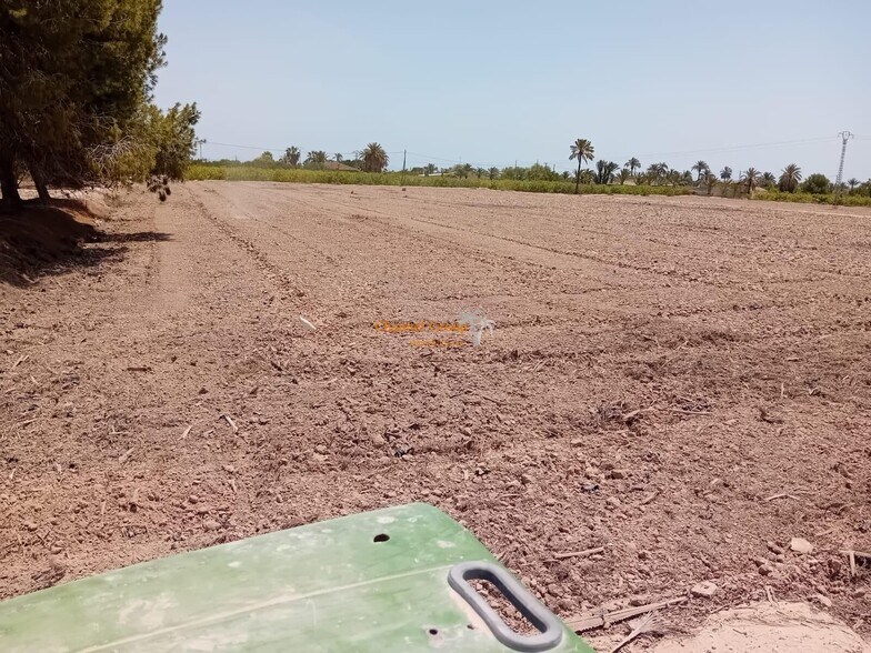 Land in Elche, Alicante for sale - Primary Photo - Image 2 of 4