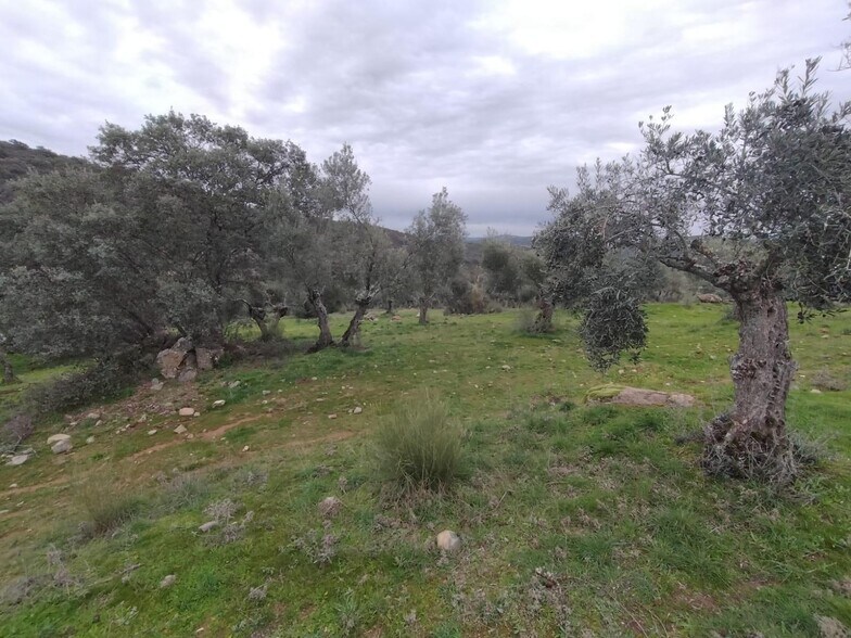 Land in Villanueva del Rey, Córdoba for sale - Site Plan - Image 1 of 8