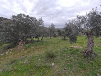 Plus de détails pour Terrain à vendre