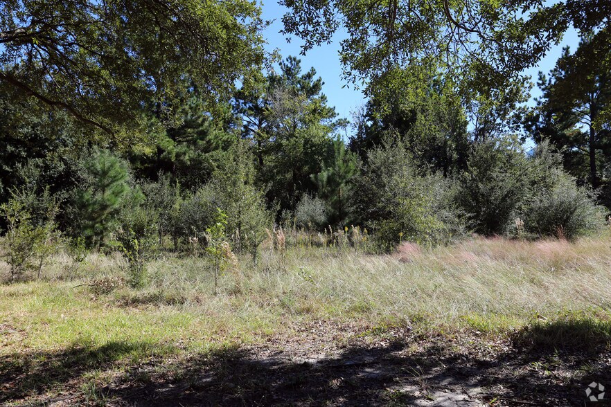 0 Greens Pky, Houston, TX à vendre - Photo principale - Image 1 de 2