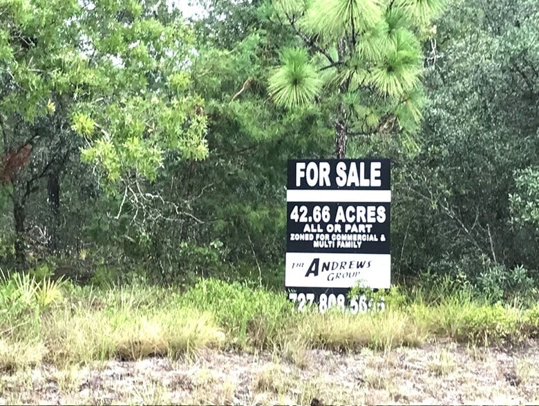 6945 W Ponce De Leon Blvd, Homosassa, FL à vendre - Aérien - Image 2 de 12