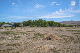 More details for 0 Bridge St, Yerington, NV - Land for Sale