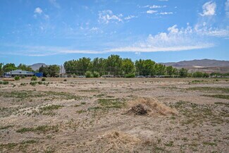 Plus de détails pour 0 Bridge St, Yerington, NV - Terrain à vendre