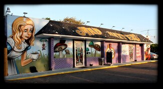 Plus de détails pour 4685 28th St N, Saint Petersburg, FL - Commerce de détail à vendre