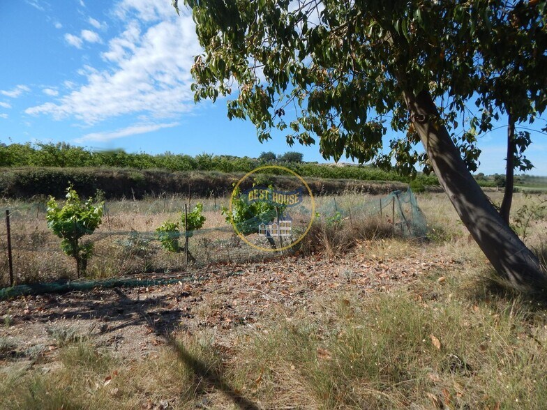 Terrain dans Agullent, Valencia à vendre - Photo principale - Image 2 de 16