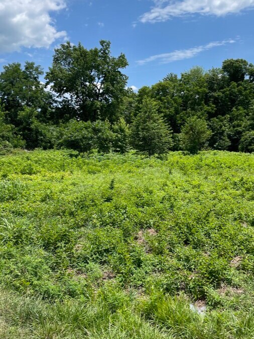 8451 Quarry Rd, Manassas, VA à vendre Aérien- Image 1 de 3