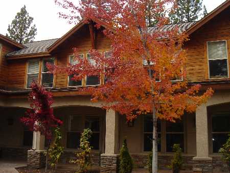937 Tahoe Blvd, Incline Village, NV à louer - Photo du bâtiment - Image 3 de 11