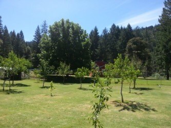 60104 Gordons Ferry Rd, Happy Camp, CA à vendre - Photo du bâtiment - Image 2 de 9