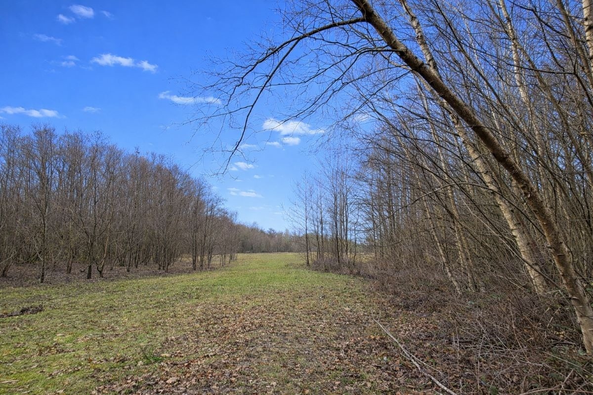 Land Opposite, 250 Holtye Rd, East Grinstead for sale Primary Photo- Image 1 of 10