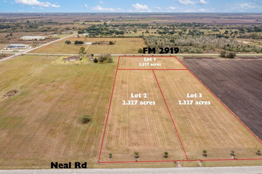 Lot 1 Farm to Market Road 2919, Beasley, TX à vendre - Aérien - Image 2 de 25