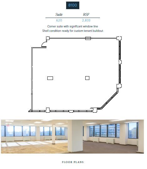 8100 Boone Blvd, Vienna, VA à louer Plan d’étage- Image 1 de 1