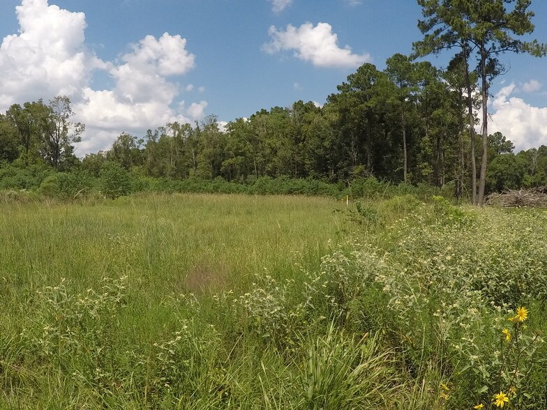 7886 Fm 1960 Rd, Dayton, TX à vendre - Autre - Image 3 de 9