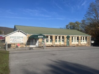 More details for 325 N Kingston Ave, Rockwood, TN - Retail for Sale