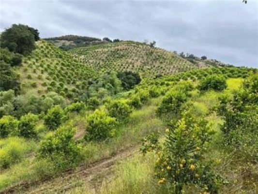 0 Avenida Tierra, Temecula, CA à vendre - Photo du bâtiment - Image 3 de 6