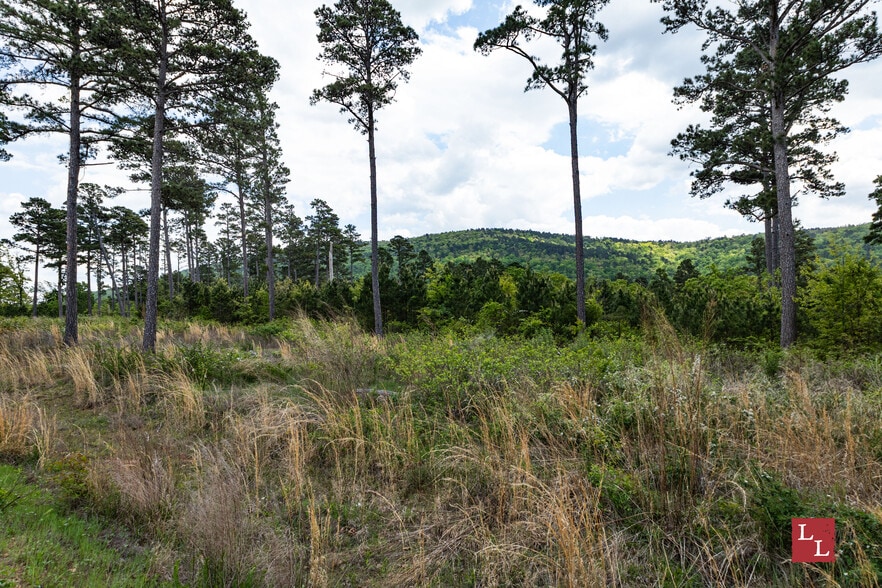 State Highway 43, Clayton, OK for sale - Building Photo - Image 3 of 43