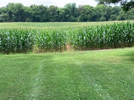 1137 N Main St, Princeton, IN for sale - Primary Photo - Image 2 of 7