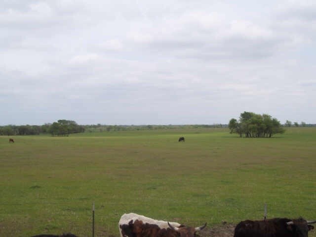 1201 E Crisp Rd, Ennis, TX à vendre - Photo du bâtiment - Image 3 de 4