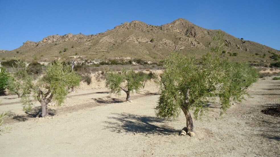 Terrain dans Abanilla, Murcia à vendre - Photo principale - Image 1 de 18