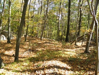 Plus de détails pour Baptist Church Rd, Carmel, NY - Terrain à vendre