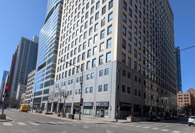 More details for 900-910 S Michigan Ave, Chicago, IL - Office/Retail, Retail for Lease
