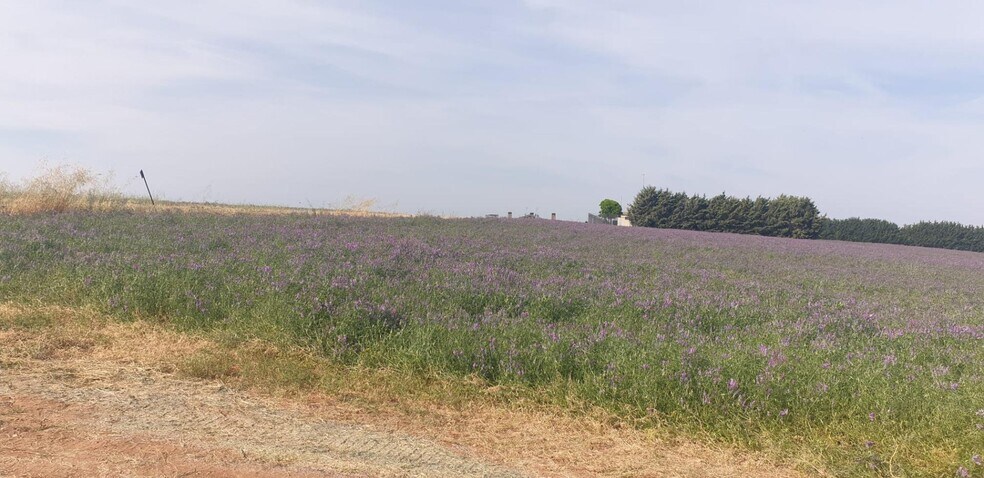 Teso, 24, Cabrerizos, Salamanca à louer - Photo du bâtiment - Image 3 de 12