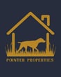 Pointer Properties