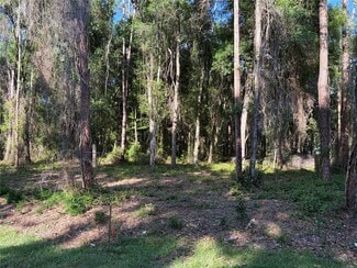 Plus de détails pour 9192 CR 647Cs, Bushnell, FL - Terrain à vendre