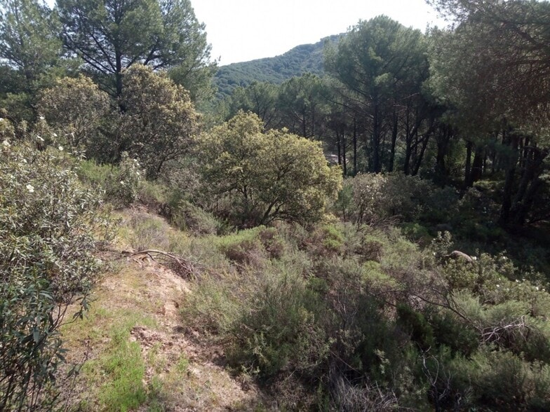 Land in Córdoba, Córdoba for sale - Primary Photo - Image 1 of 3