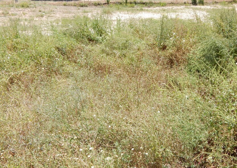 Land in València, Valencia for sale - Primary Photo - Image 1 of 3