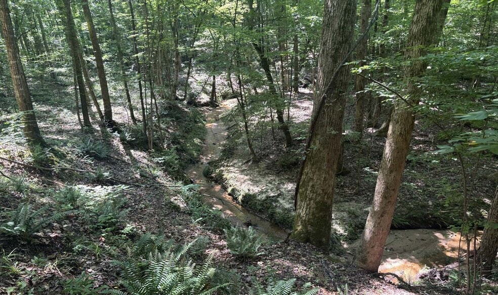 Old Calhoun Falls Rd, Abbeville, SC for sale - Other - Image 1 of 1