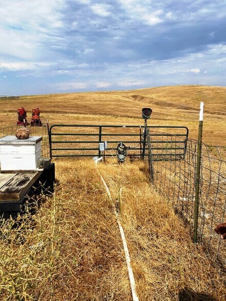 1700 Black Butte Road, Corning, CA à vendre - Photo du bâtiment - Image 2 de 14
