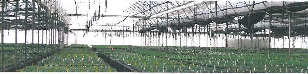 501 Osborne St, Vista, CA à vendre - Photo intérieure - Image 2 de 11