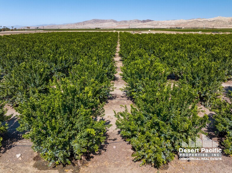 Wheeler St, Mecca, CA à vendre - Photo du bâtiment - Image 3 de 9