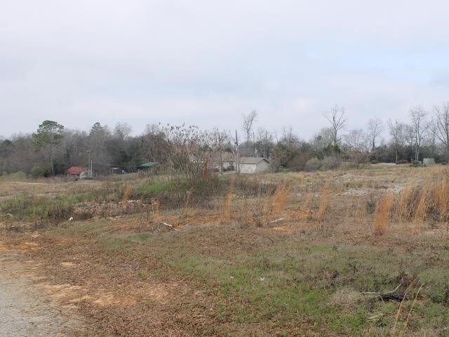 720 E Forsyth St, Americus, GA à louer - Photo du bâtiment - Image 3 de 21