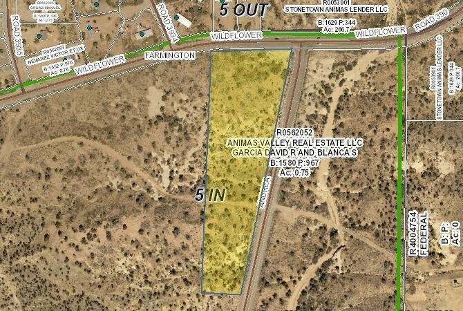 Wildflower Pky, Farmington, NM à vendre Plan de site- Image 1 de 2