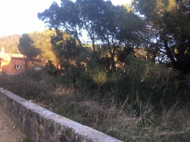 Land in Santa Cristina d'Aro, Gerona for sale Primary Photo- Image 1 of 4