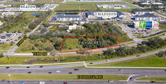 Plus de détails pour Teco Rd., Ruskin, FL - Terrain à vendre