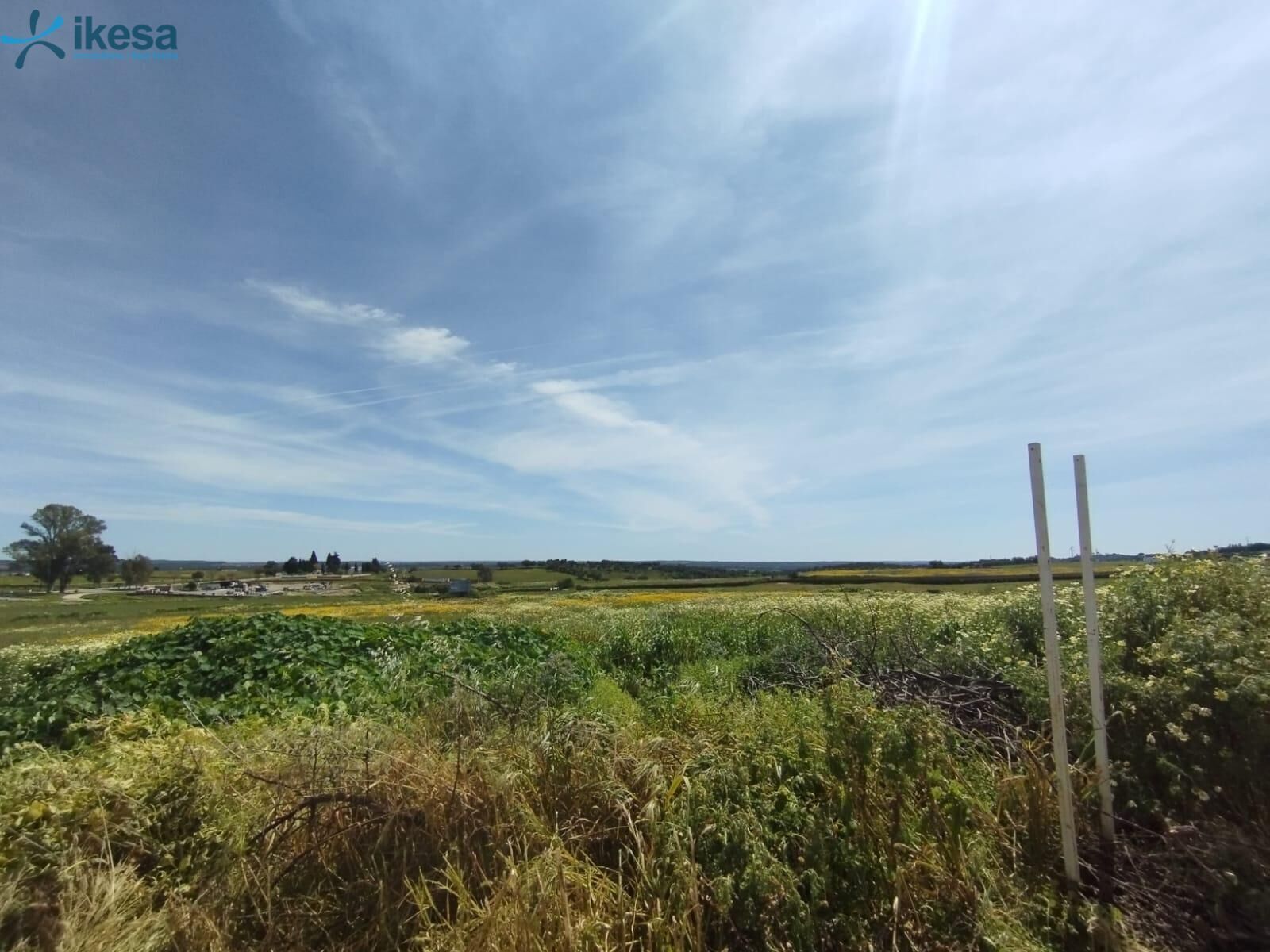 Terrain dans Alosno, Huelva à vendre Aérien- Image 1 de 8