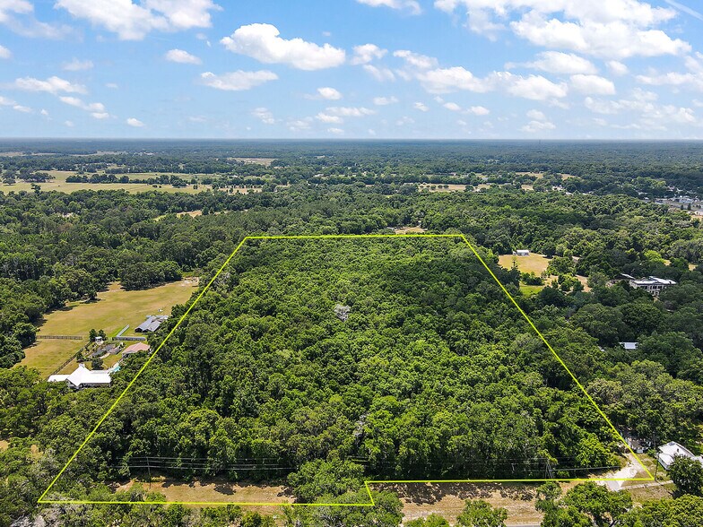 14900 S US Hwy 301, Summerfield, FL for sale - Aerial - Image 1 of 14
