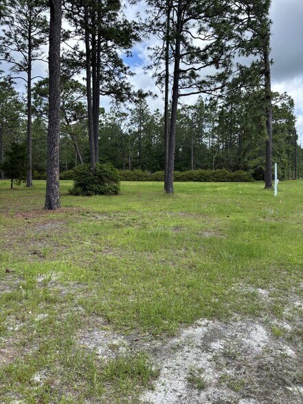 14034 U.S. 331 Business, Freeport, FL à vendre - Photo du bâtiment - Image 3 de 13