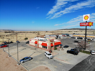 More details for 1191 N Cedar Mountain Rd, Fillmore, UT - Retail for Sale