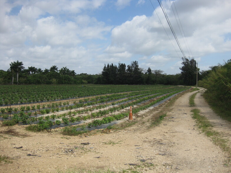 19922 SW 304th St, Homestead, FL for sale - Other - Image 3 of 3