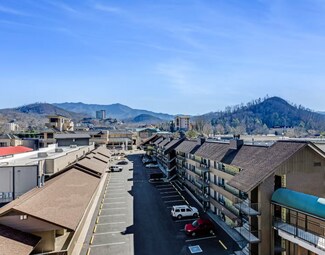 Plus de détails pour 929 Parkway, Gatlinburg, TN - Services hôteliers à vendre