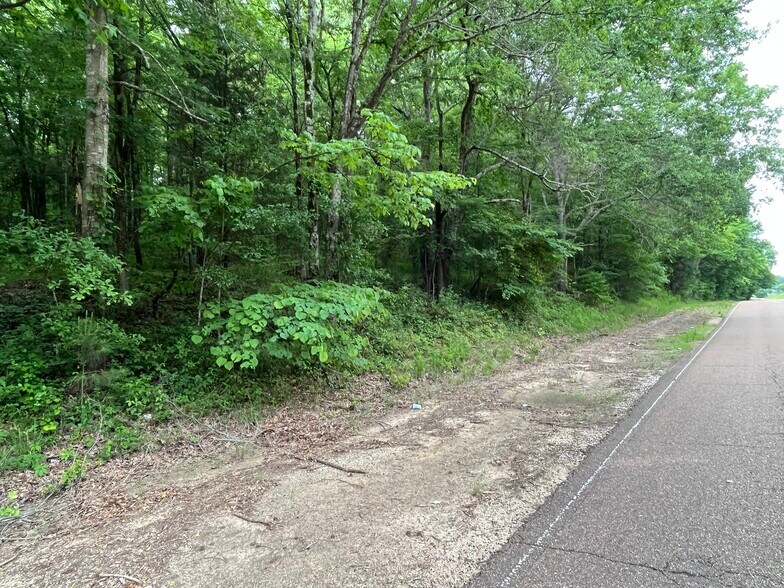 15170 Arkabutla, Sarah, MS à vendre - Photo du bâtiment - Image 3 de 5