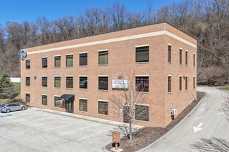 More details for 491 E Bruceton Rd, Pleasant Hills, PA - Office for Lease