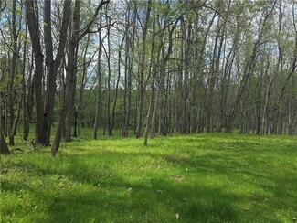 Plus de détails pour 000 Thomas Rd, Eighty Four, PA - Terrain à vendre