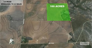 More details for 160 Ac CR 4134, Hermleigh, TX - Land for Sale