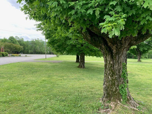 9450 Dayton Pike, Soddy Daisy, TN à vendre - Photo du bâtiment - Image 2 de 9